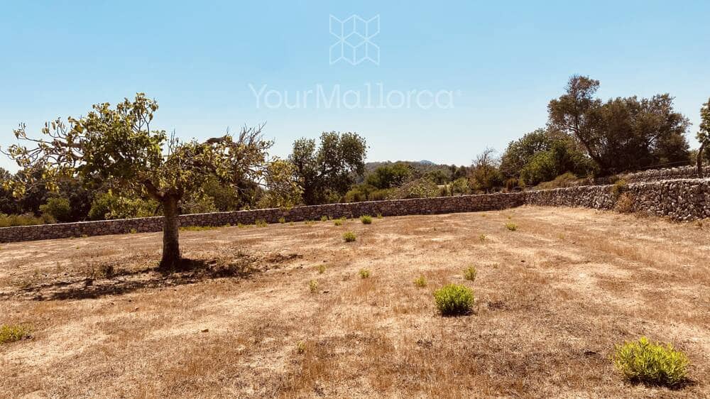 3 bedroom Finca/Country House for sale in Arta - € 785,000 (Ref: 9999036)