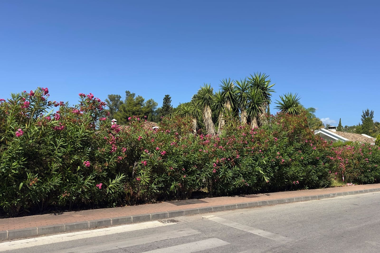 Building Plot for sale in Nueva Andalucia - € 1,300,000 (Ref: 9236084)