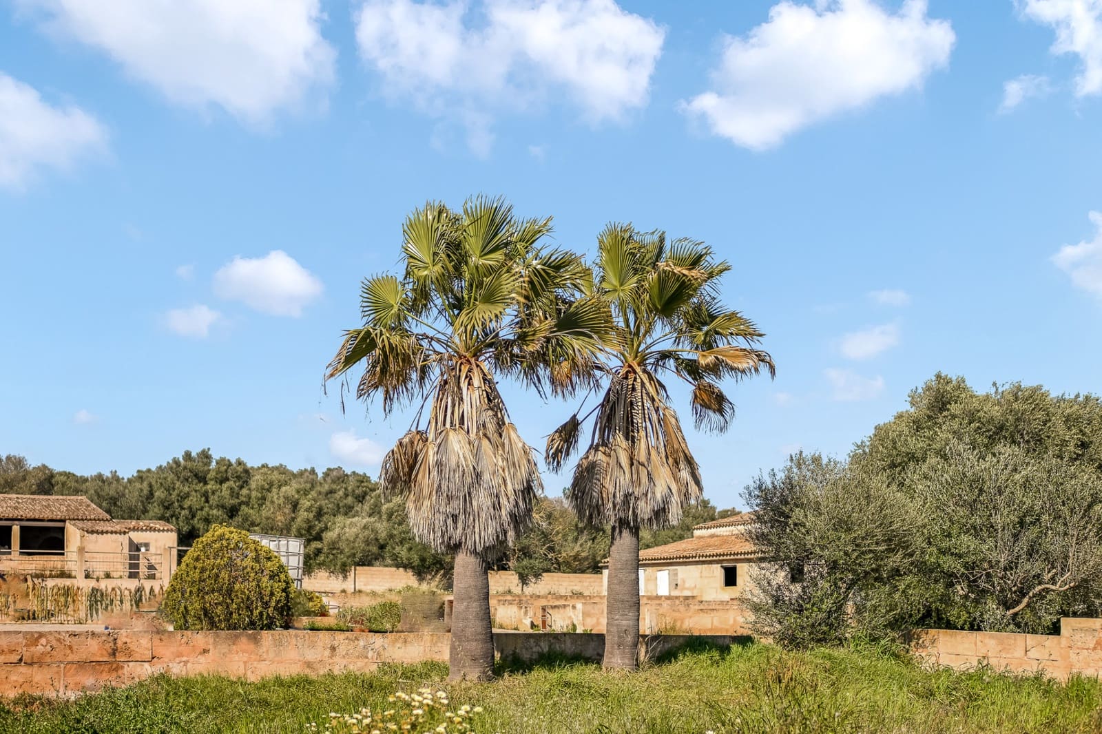 Bouwgrond te koop in Santanyi - € 699.000 (Ref: 9761743)