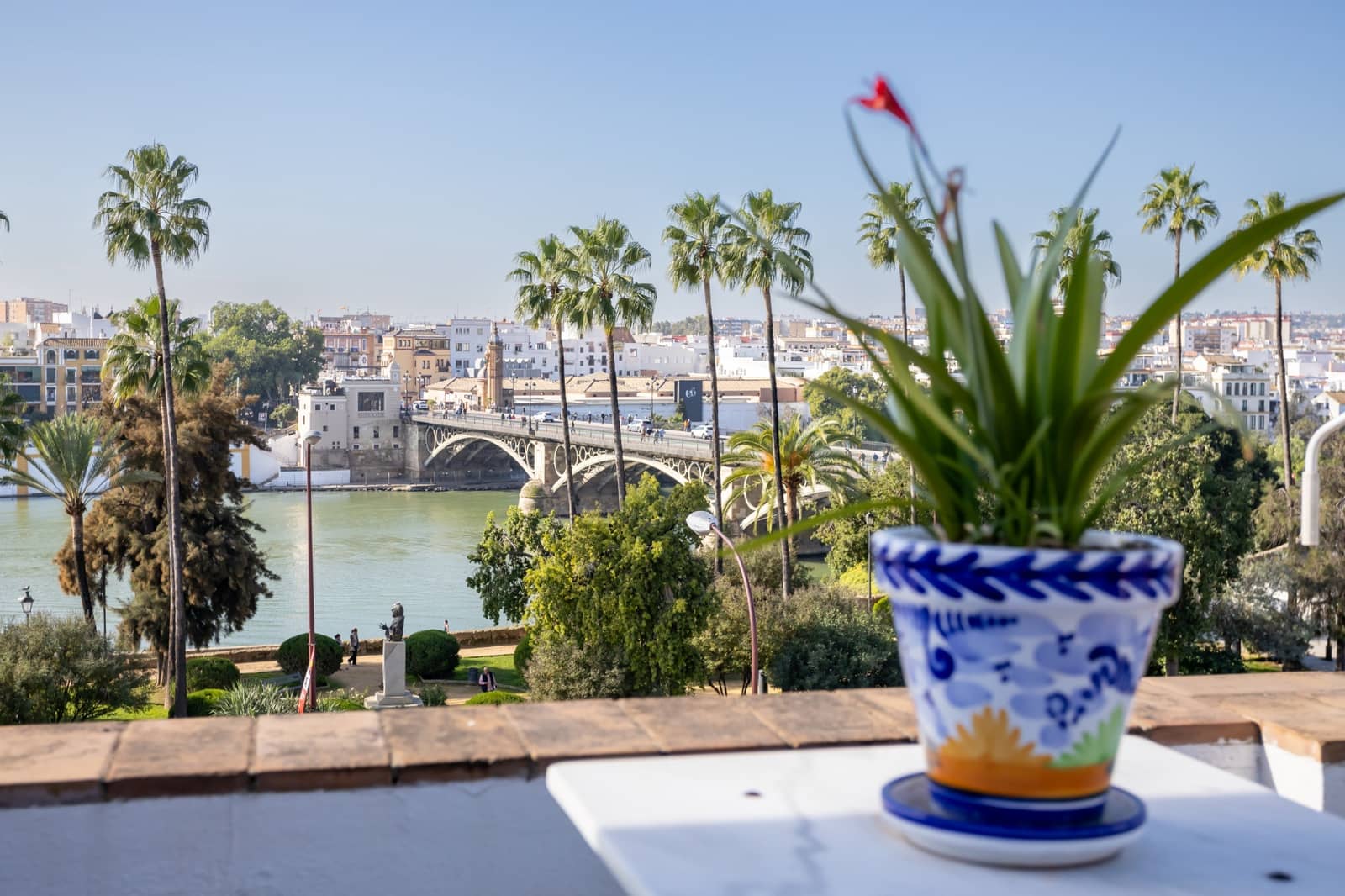 Local Commercial à vendre à Seville ville - 9 500 000 € (Ref: 9796901)