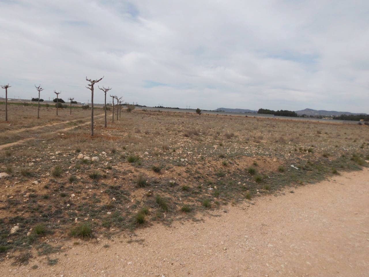 Grunde uden byggetilladelser til salg i Almansa - € 66.000 (Ref: 8886504)