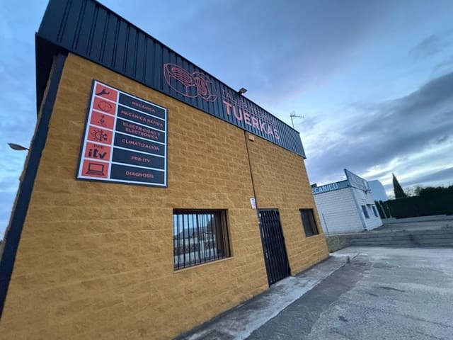 Bedrift til salgs i Almansa - € 215 000 (Ref: 8886602)