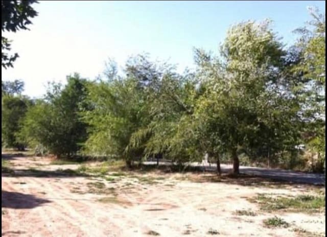 Tomt till salu i Almansa - 58 000 € (Ref: 8886636)