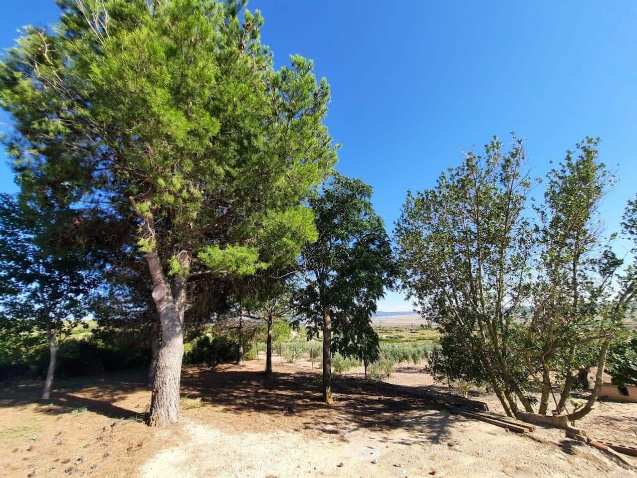 3 soveværelse Villa til salg i Almansa med swimmingpool - € 185.000 (Ref: 8950710)