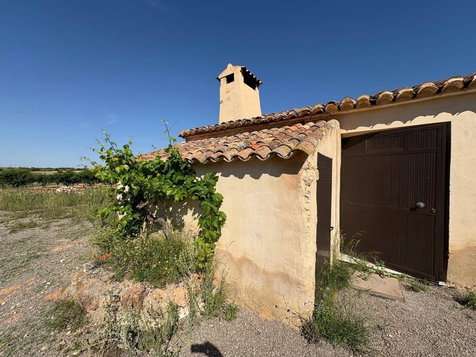 15 soveværelse Villa til salg i Almansa - € 220.000 (Ref: 9031491)