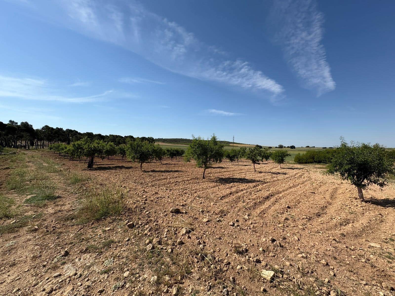 15 soveværelse Villa til salg i Almansa - € 220.000 (Ref: 9031491)