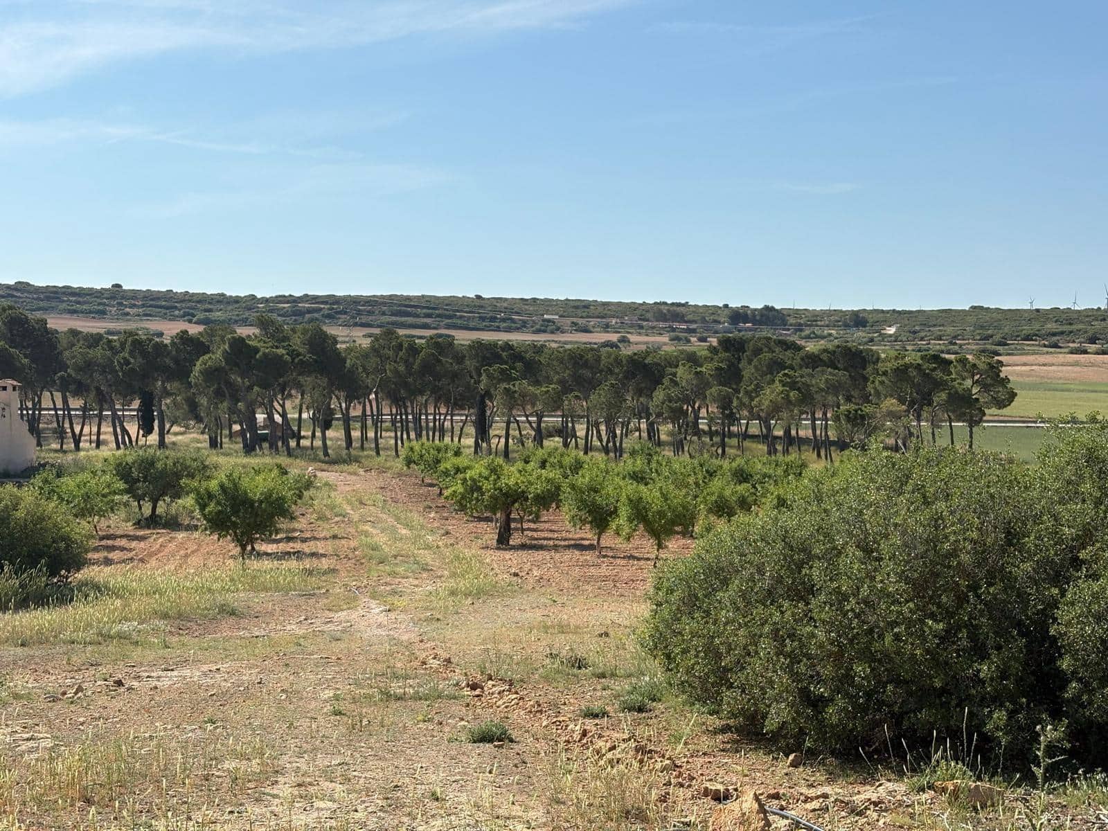 15 soveværelse Villa til salg i Almansa - € 220.000 (Ref: 9031491)