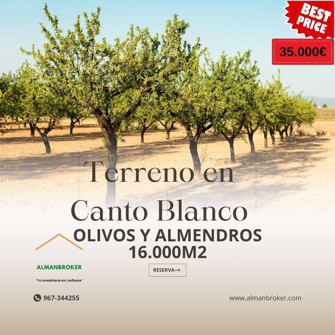 Grunde uden byggetilladelser til salg i Almansa - € 35.000 (Ref: 9042210)