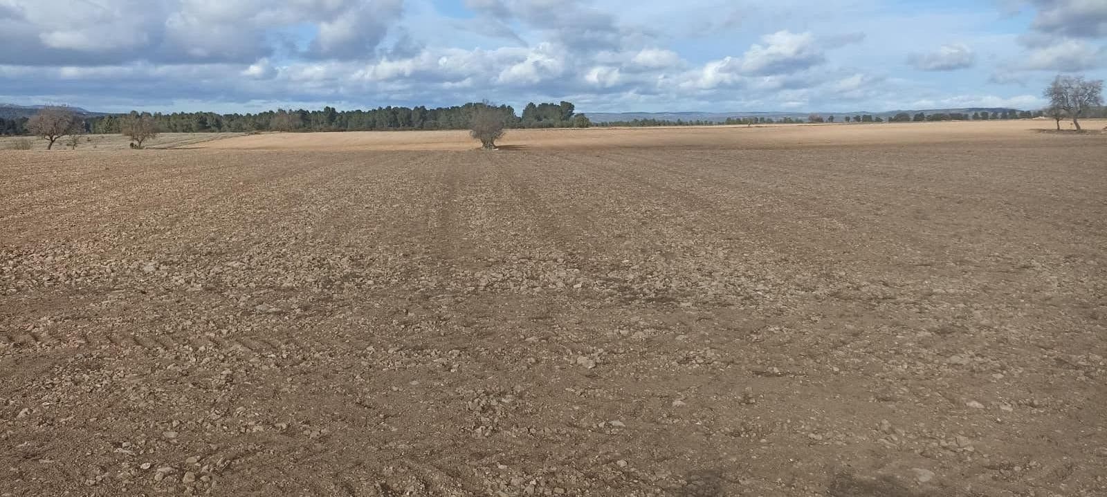 Undeveloped Land for sale in Ayora - € 150,000 (Ref: 9228502)