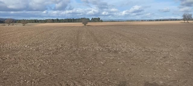 Grond te koop in Ayora - € 150.000 (Ref: 9228502)