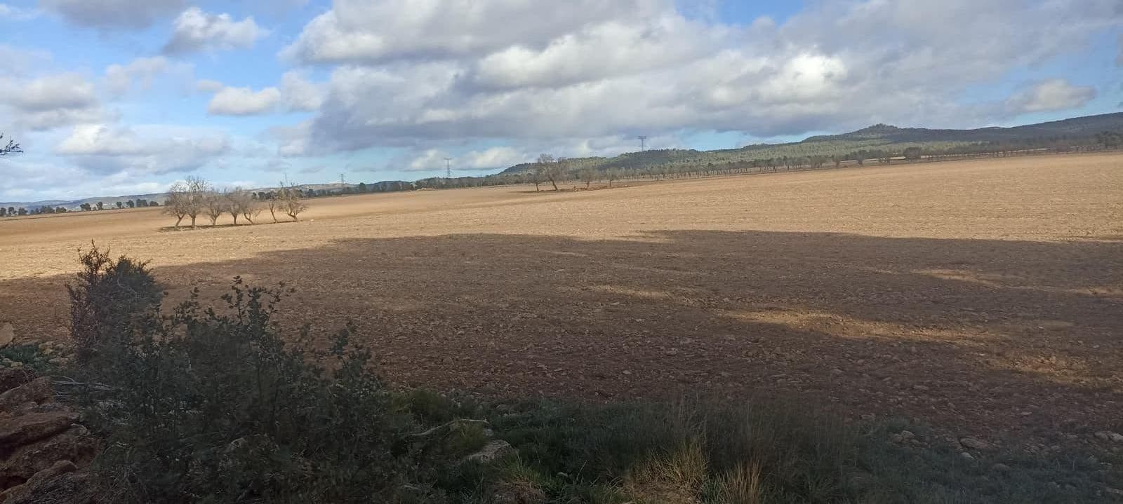 Undeveloped Land for sale in Ayora - € 70,000 (Ref: 9228503)