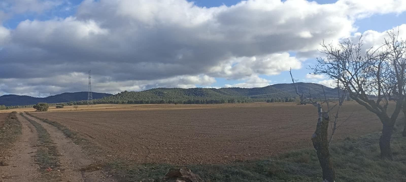 Undeveloped Land for sale in Ayora - € 70,000 (Ref: 9228503)