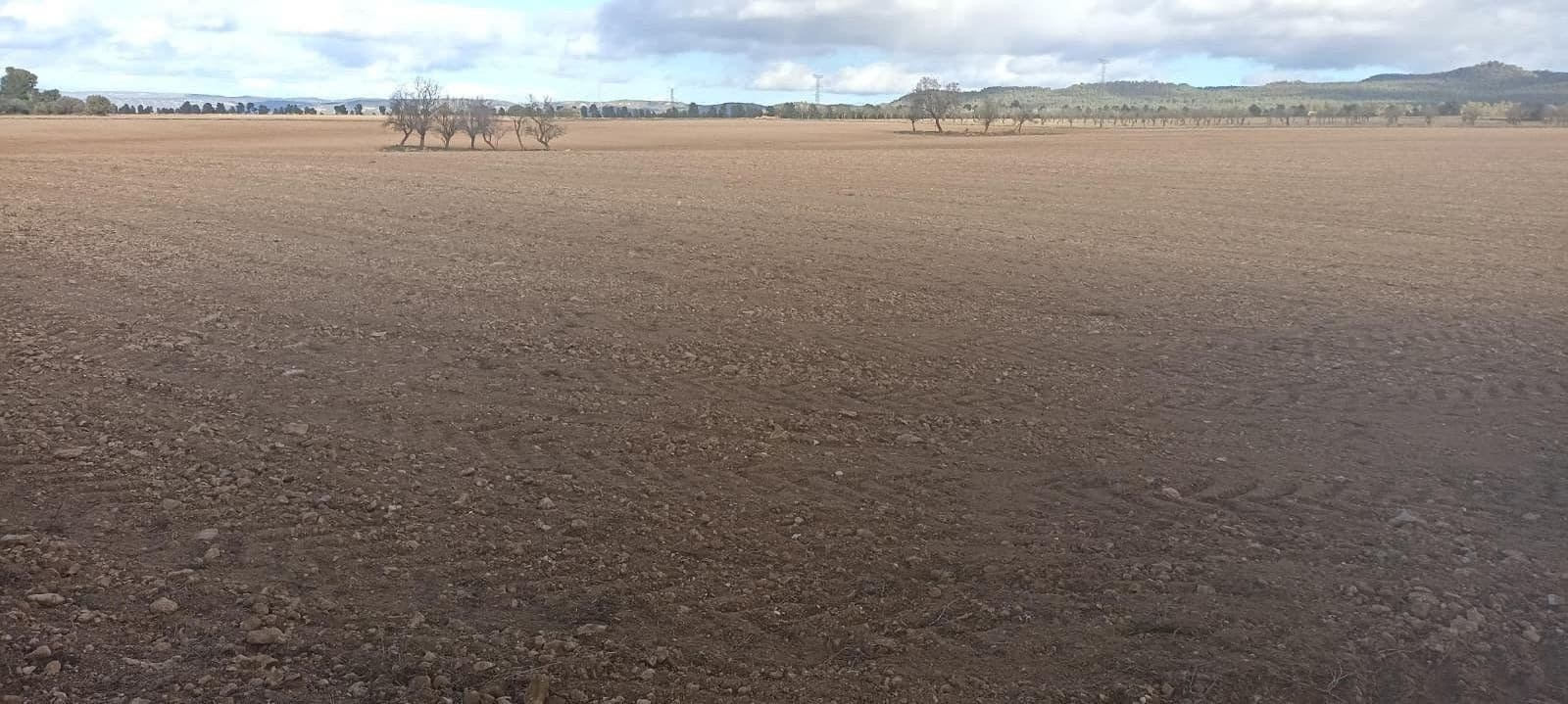 Undeveloped Land for sale in Ayora - € 70,000 (Ref: 9228503)