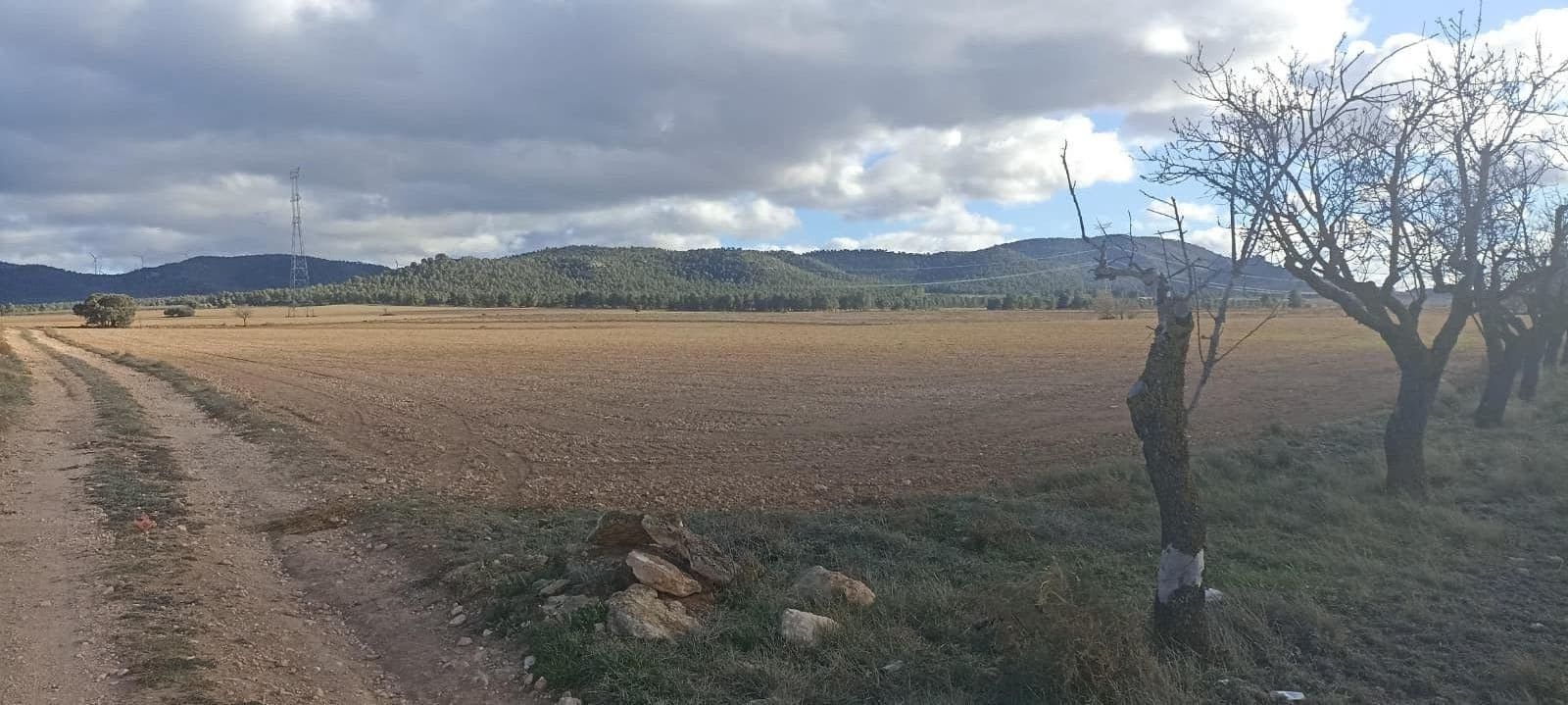 Undeveloped Land for sale in Ayora - € 70,000 (Ref: 9228503)