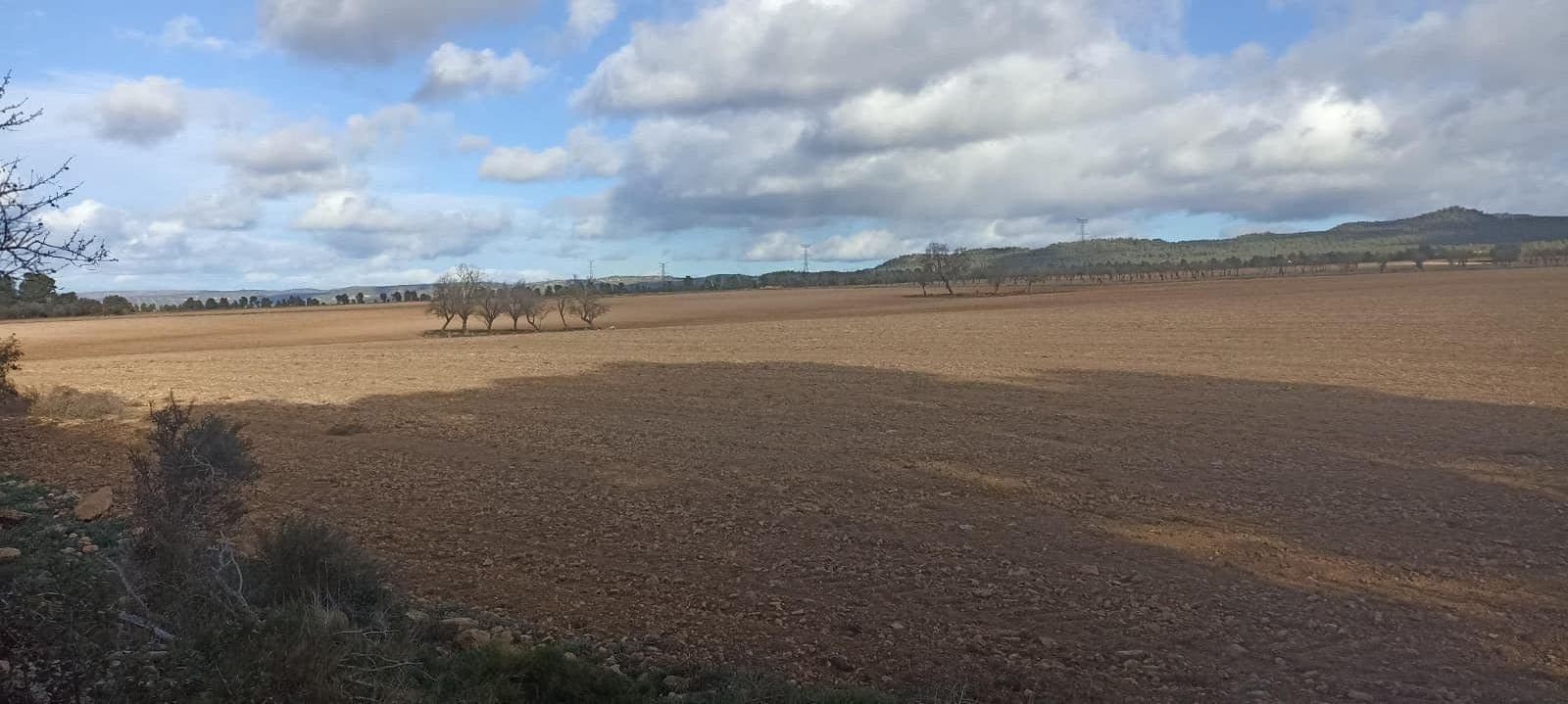 Undeveloped Land for sale in Ayora - € 70,000 (Ref: 9228503)