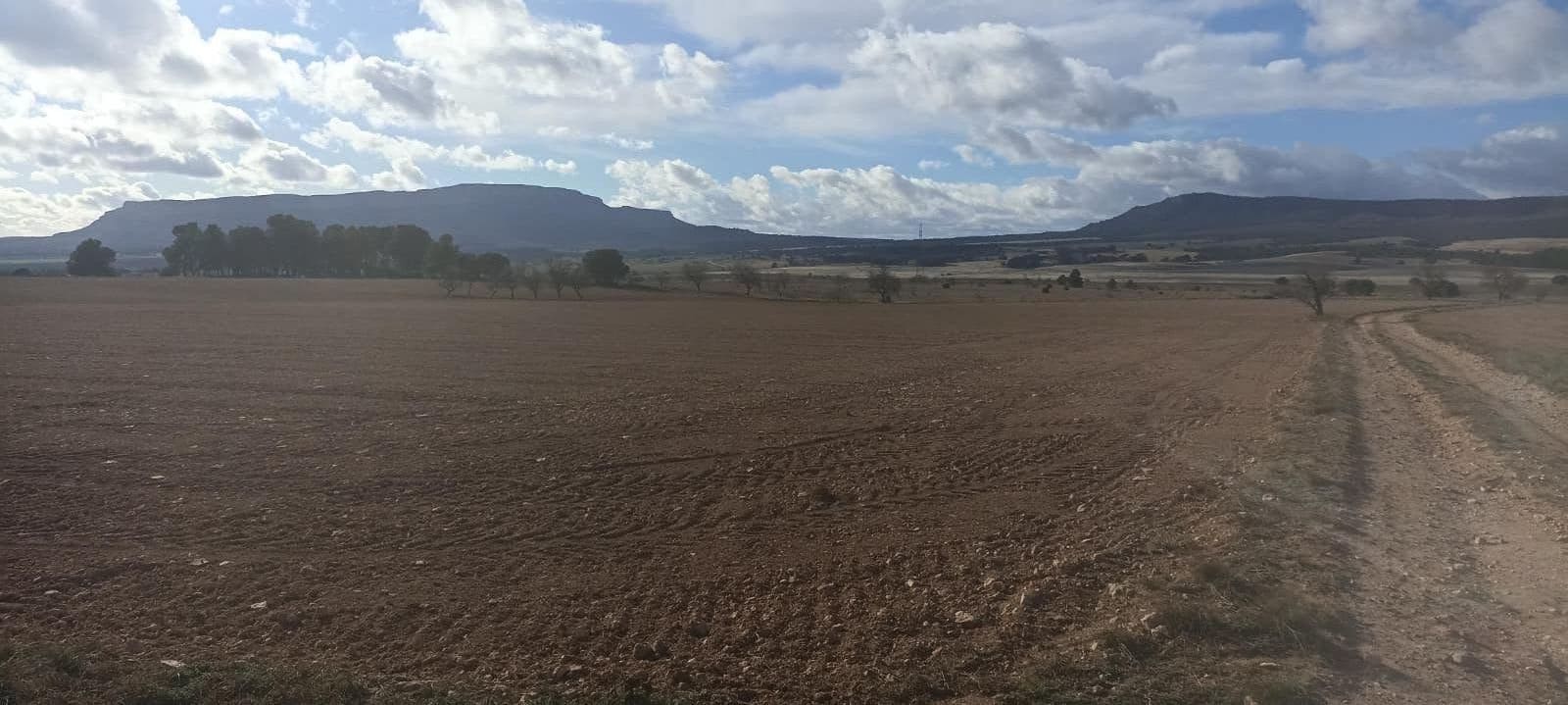 Undeveloped Land for sale in Ayora - € 70,000 (Ref: 9228503)