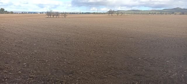 Grond te koop in Ayora - € 70.000 (Ref: 9228503)