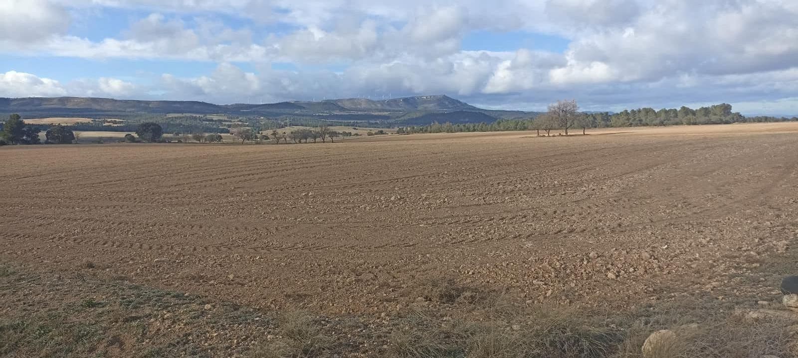 Undeveloped Land for sale in Ayora - € 70,000 (Ref: 9228503)