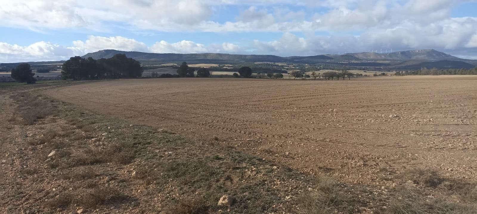 Undeveloped Land for sale in Ayora - € 70,000 (Ref: 9228503)