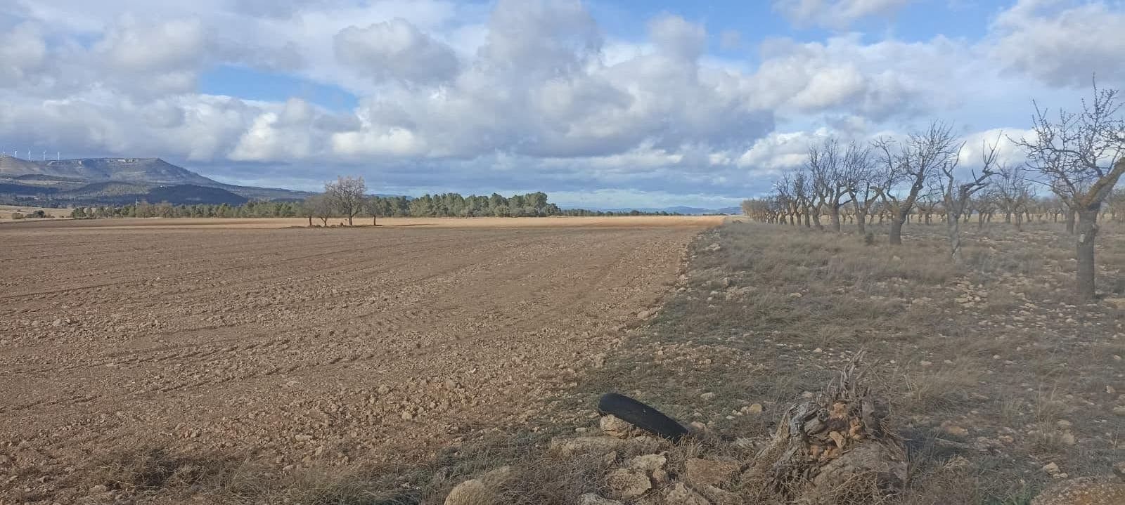 Undeveloped Land for sale in Ayora - € 70,000 (Ref: 9228503)