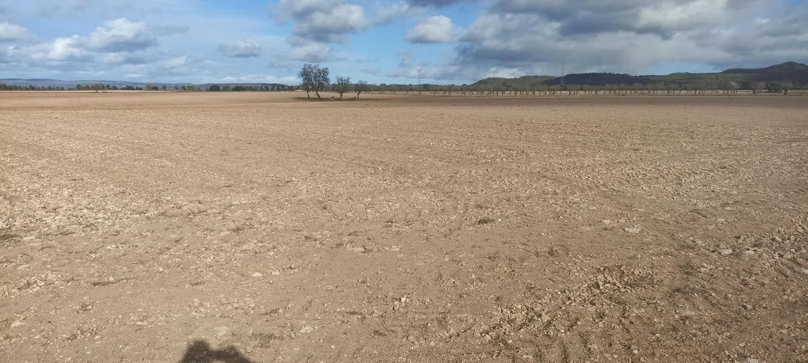 Undeveloped Land for sale in Ayora - € 70,000 (Ref: 9228503)