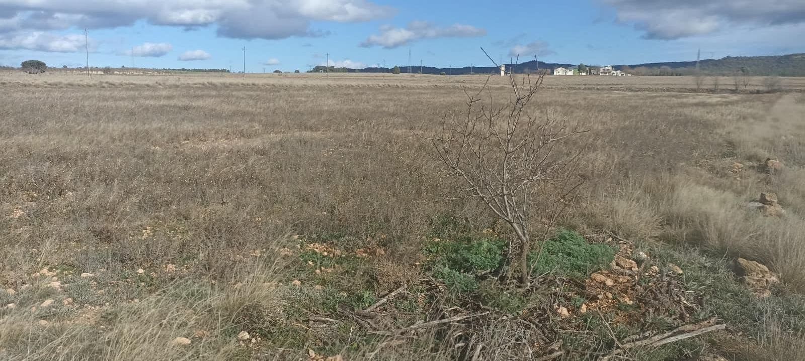 Undeveloped Land for sale in Ayora - € 70,000 (Ref: 9228503)