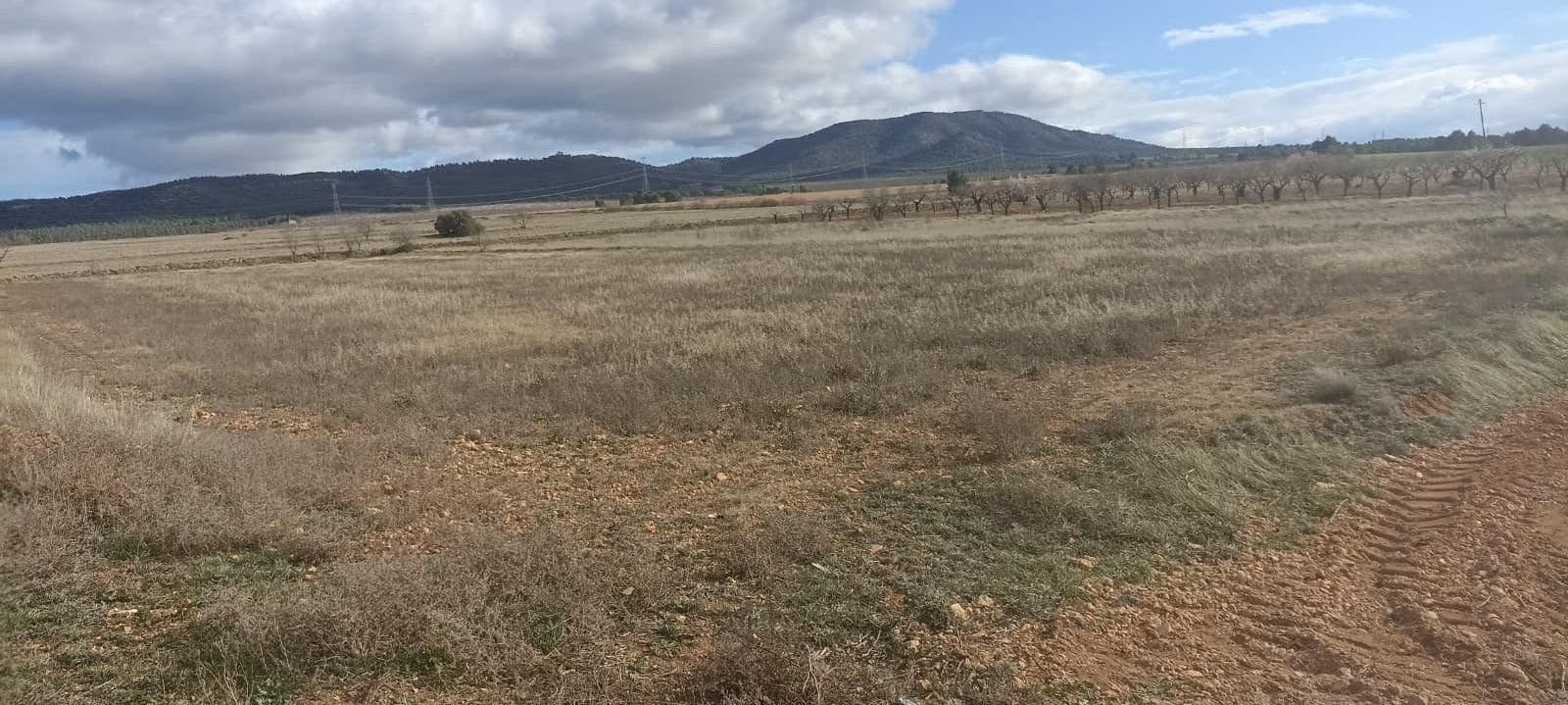 Undeveloped Land for sale in Ayora - € 70,000 (Ref: 9228503)