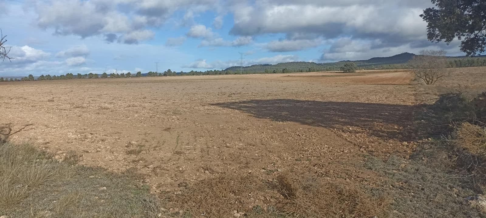 Undeveloped Land for sale in Ayora - € 70,000 (Ref: 9228503)