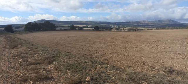 Grond te koop in Ayora - € 70.000 (Ref: 9228503)