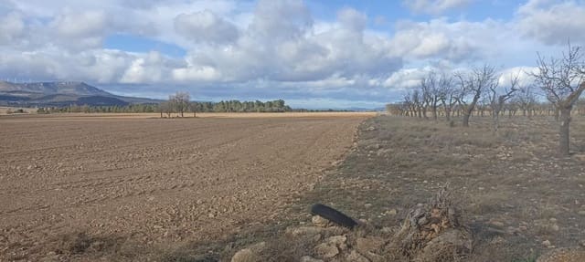 Grond te koop in Ayora - € 70.000 (Ref: 9228503)