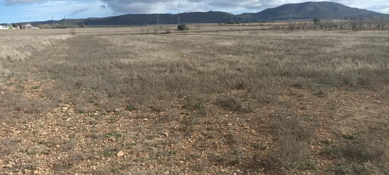 Undeveloped Land for sale in Ayora - € 70,000 (Ref: 9228503)