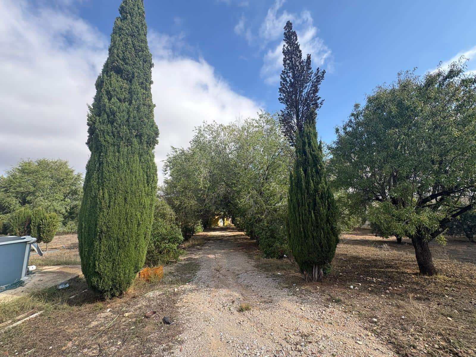 5 bedroom Villa for sale in Almansa with pool - € 250,000 (Ref: 9301057)