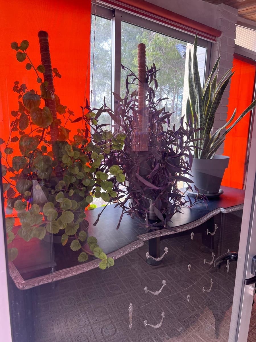 4 chambre Villa/Maison à vendre à Almansa avec garage - 170 000 € (Ref: 9422467)