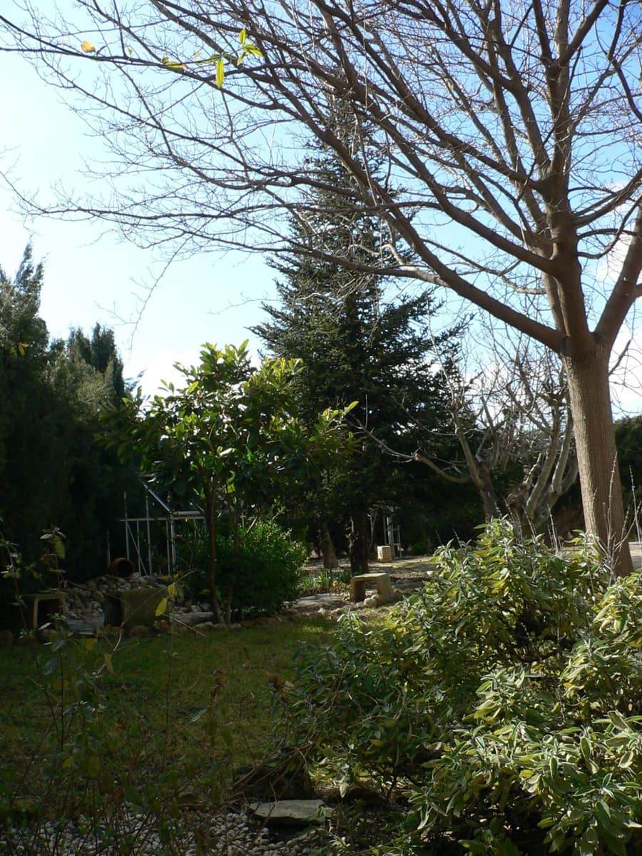 4 soveværelse Villa til salg i Almansa - € 250.000 (Ref: 9543652)