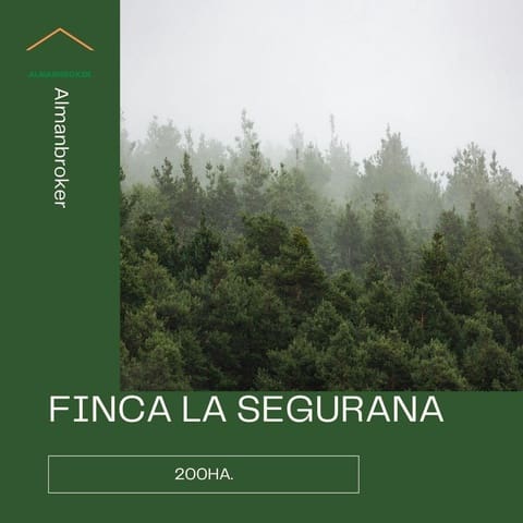 Grunde uden byggetilladelser til salg i Almansa - € 800.000 (Ref: 9561815)