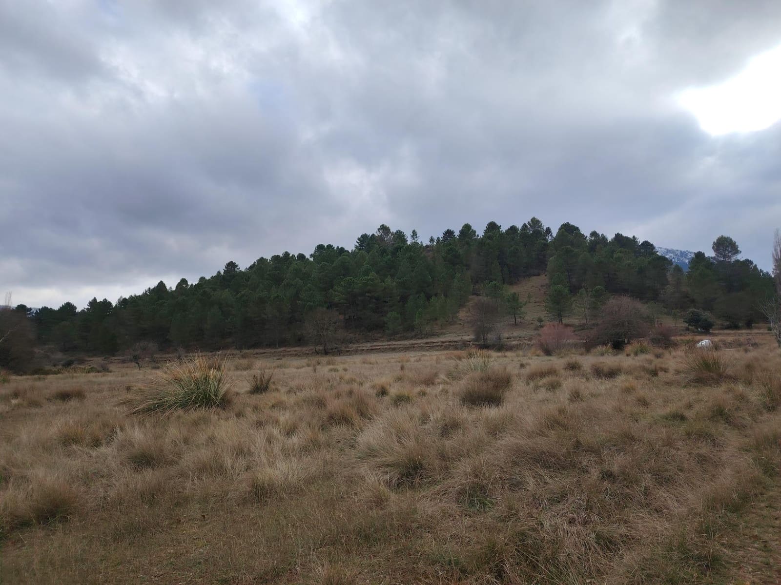 Undeveloped Land for sale in Riopar - € 50,000 (Ref: 9568685)