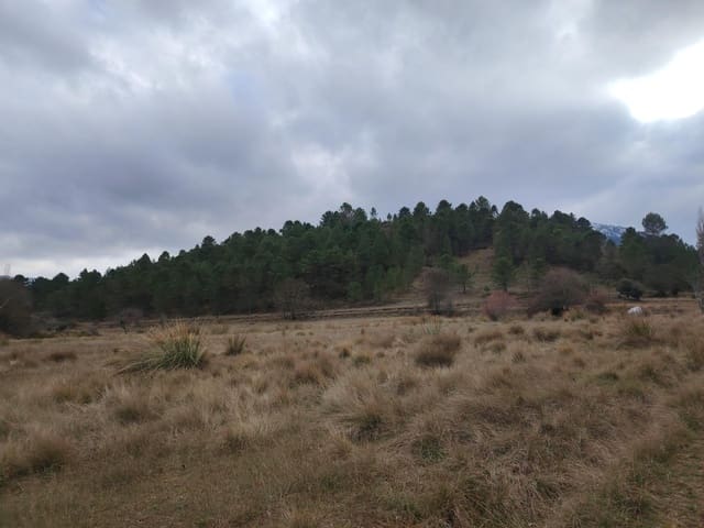 Undeveloped Land for sale in Riópar - € 50,000 (Ref: 9568685)