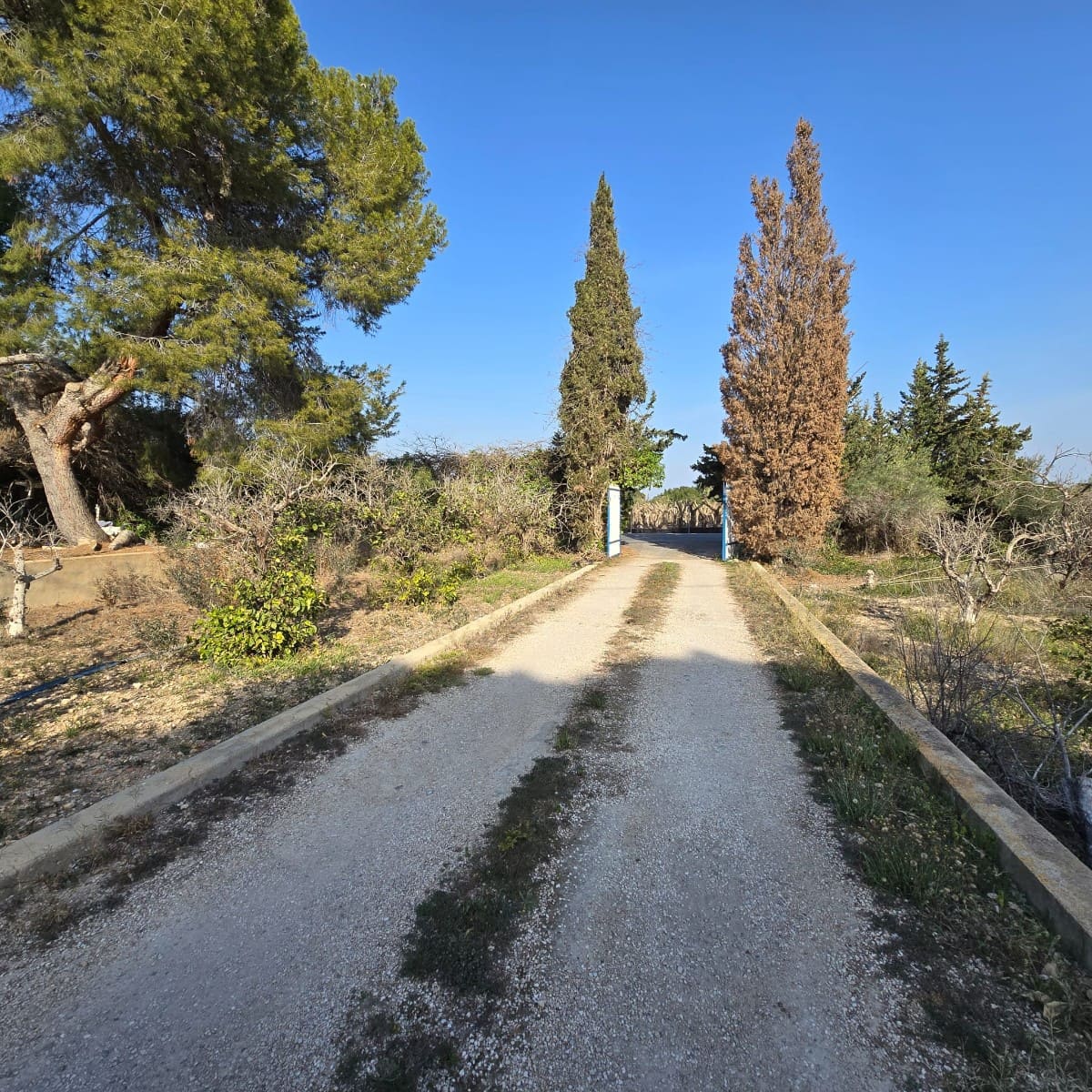 Chalet de 5 habitaciones en Elche / Elx en venta con piscina - 298.000 € (Ref: 9449494)