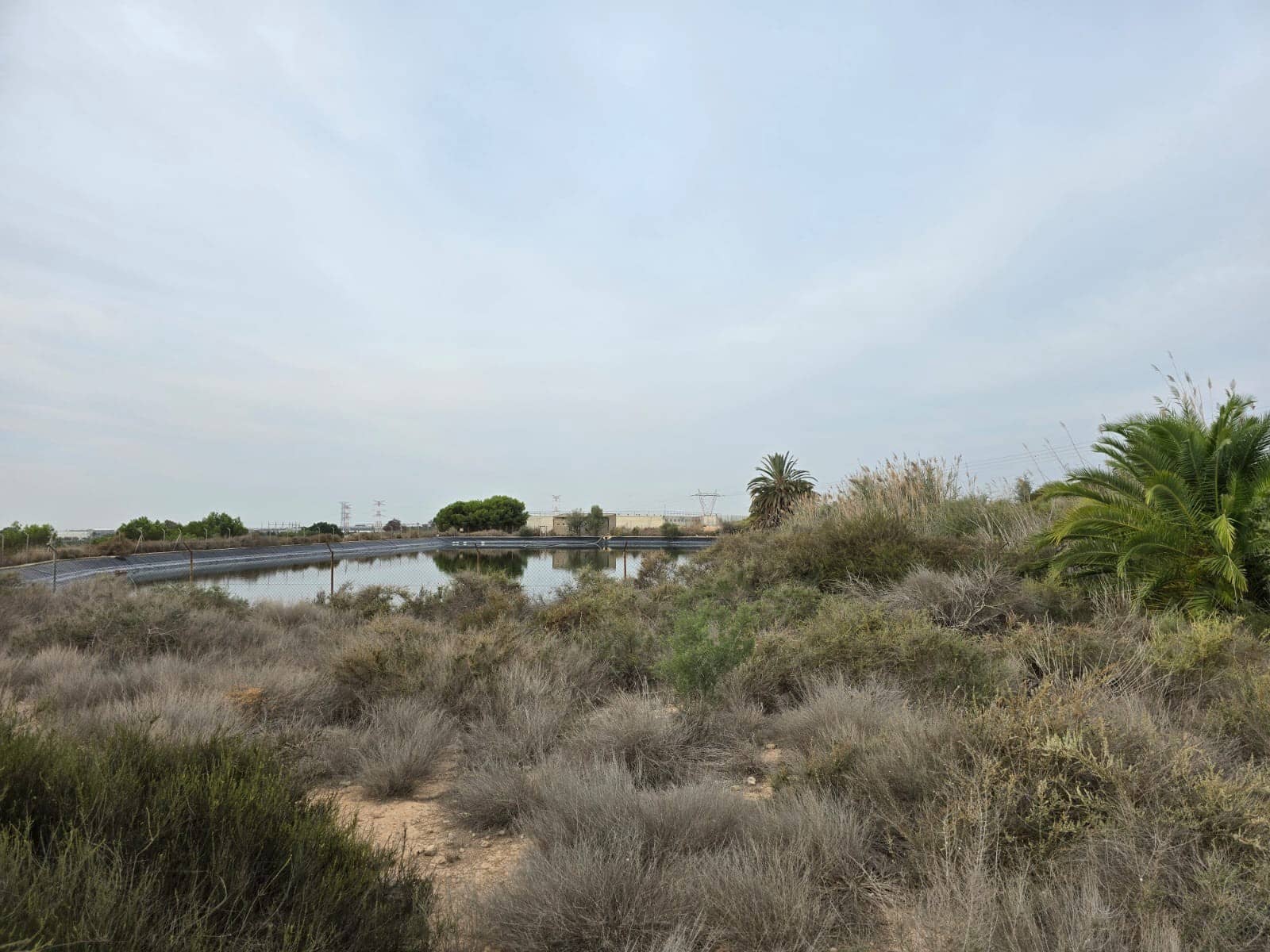 Ubebygd land til salgs i Torrellano - € 74 335 (Ref: 9449496)