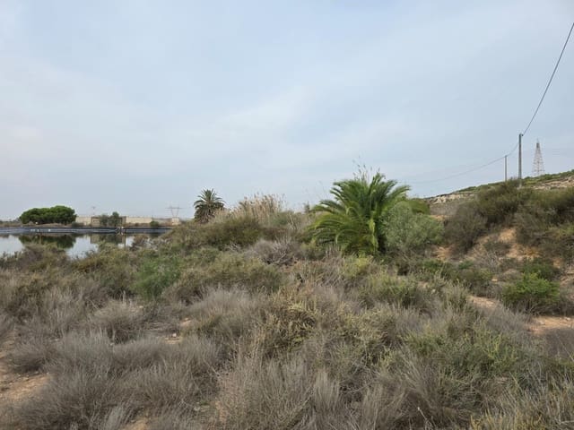 Ubebygd land til salgs i Torrellano, Elche / Elx - € 74 335 (Ref: 9449496)