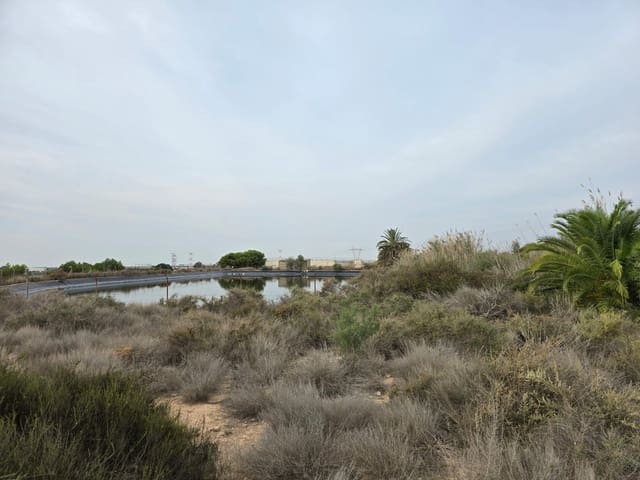 Ubebygd land til salgs i Torrellano, Elche / Elx - € 74 335 (Ref: 9449496)