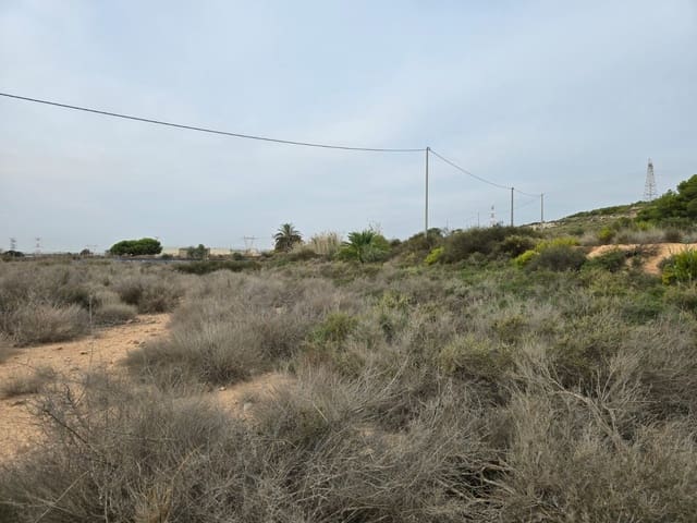 Ubebygd land til salgs i Torrellano, Elche / Elx - € 74 335 (Ref: 9449496)