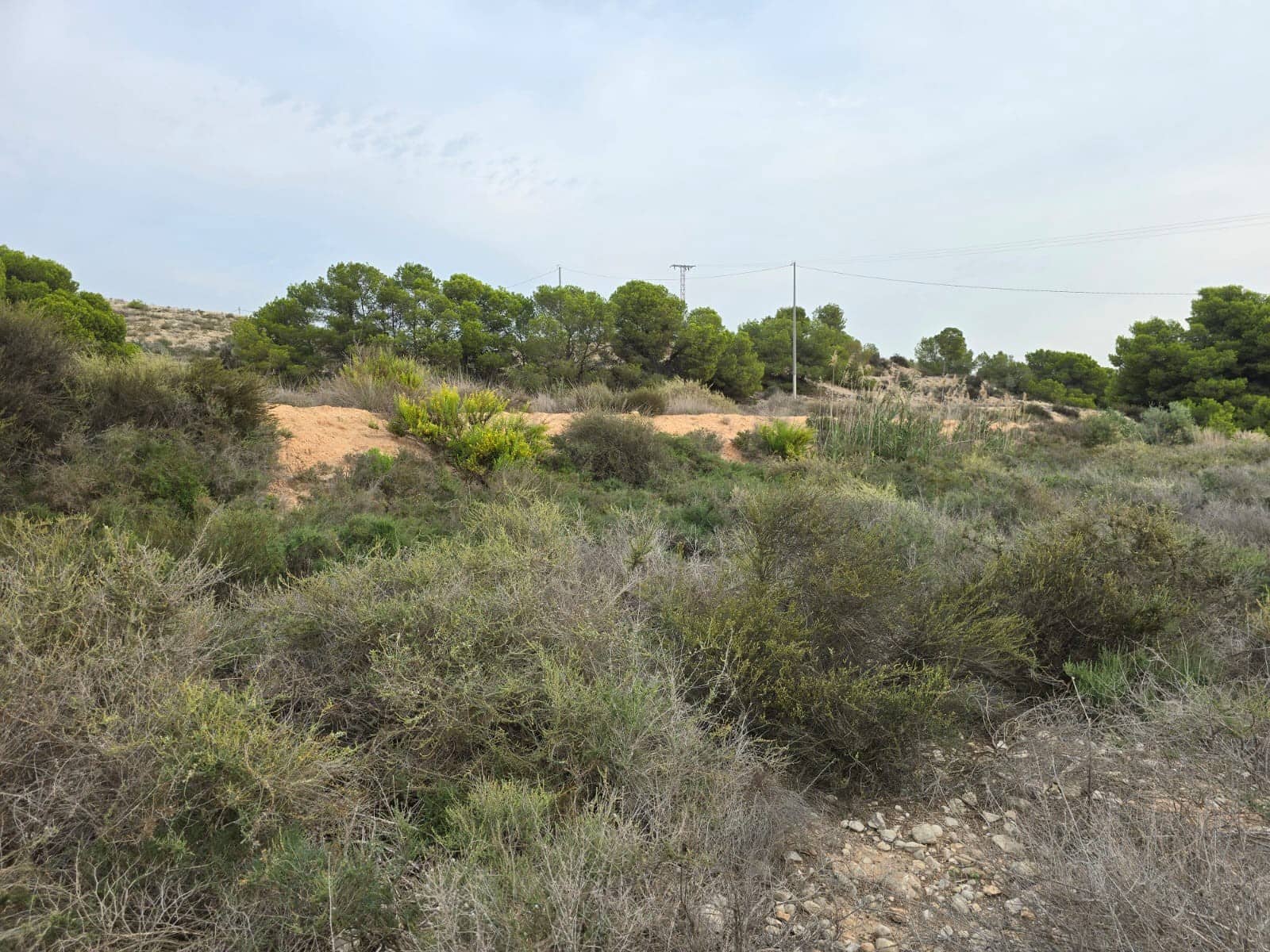 Ubebygd land til salgs i Torrellano - € 74 335 (Ref: 9449496)