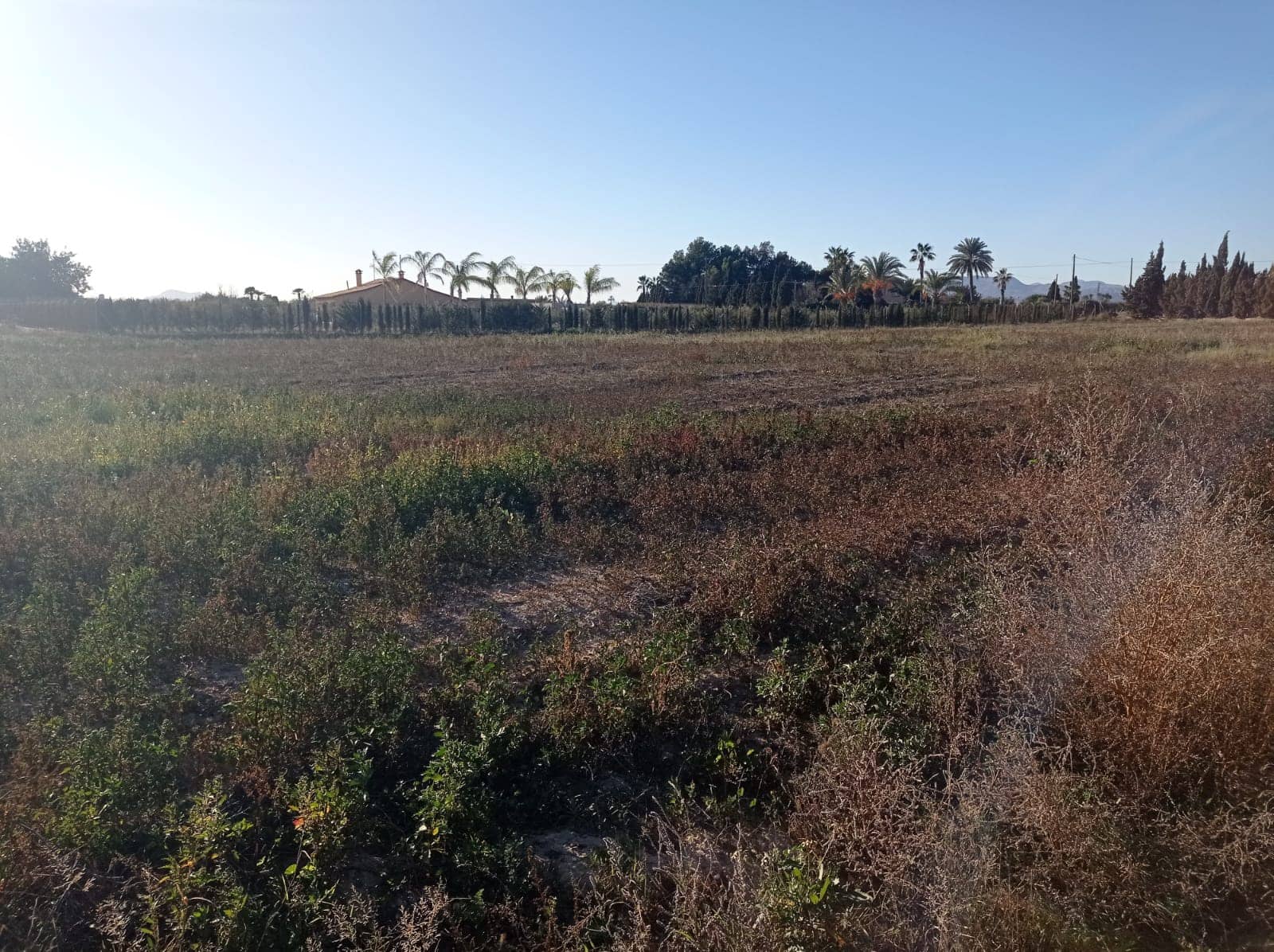 Undeveloped Land for sale in Las Bayas - € 240,000 (Ref: 9449500)