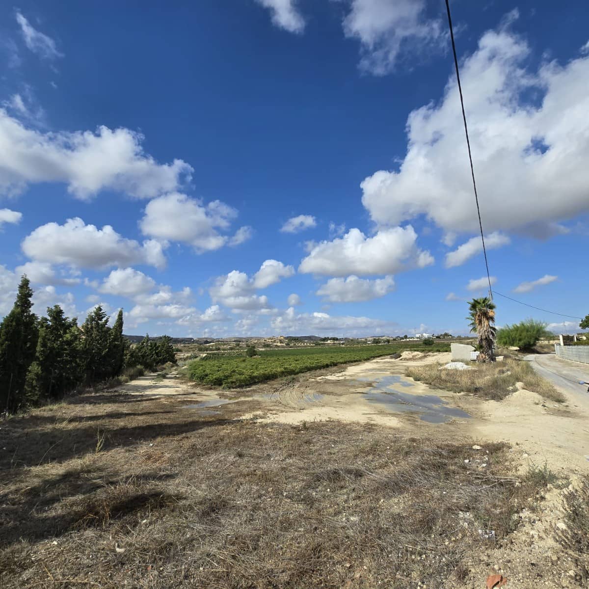 Terreno Não Urbanizado para venda em Torrellano - 581 900 € (Ref: 9449501)