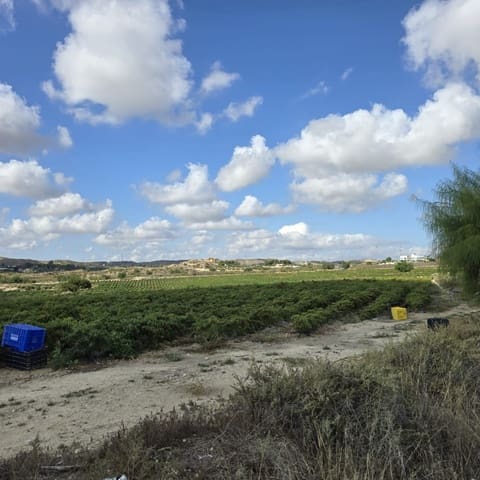 Terreno Não Urbanizado para venda em Torrellano, Elche / Elx - 581 900 € (Ref: 9449501)