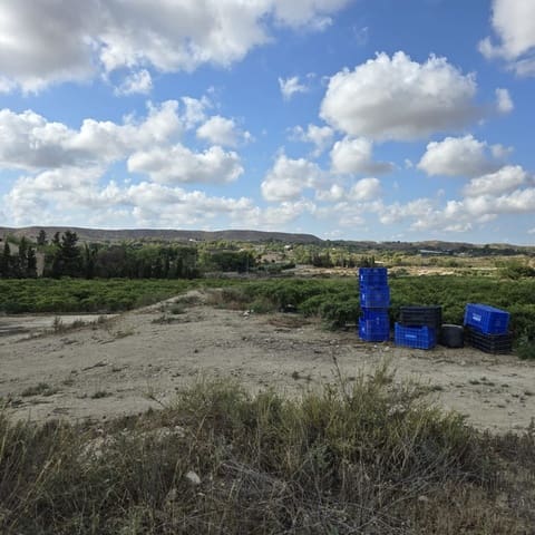 Terreno Não Urbanizado para venda em Torrellano, Elche / Elx - 581 900 € (Ref: 9449501)