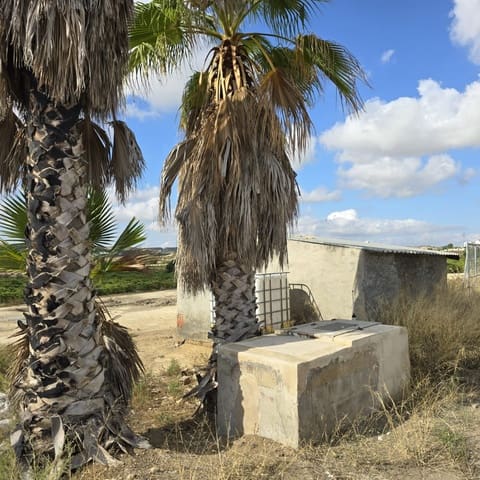 Terreno Não Urbanizado para venda em Torrellano, Elche / Elx - 581 900 € (Ref: 9449501)