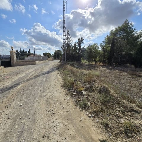Terreno Não Urbanizado para venda em Torrellano, Elche / Elx - 581 900 € (Ref: 9449501)
