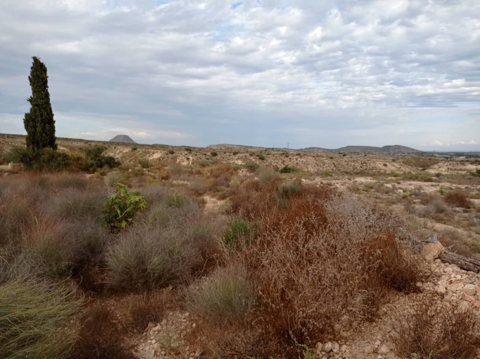 Finca/Landehus til salg i Torrellano - € 150.000 (Ref: 9449541)